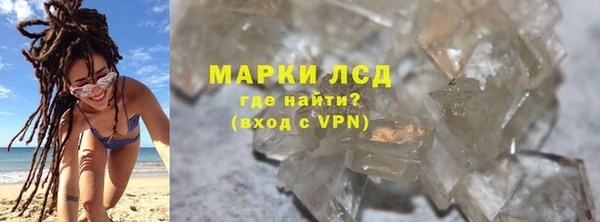 сатива Аркадак