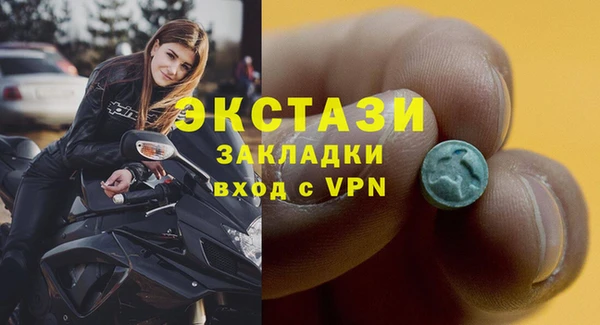сатива Аркадак