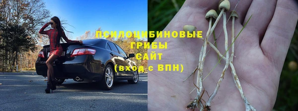 сатива Аркадак